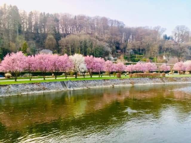 Hotel Li Stole Durbuy Zewnętrze zdjęcie